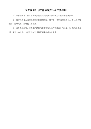 分管规划计划工作领导安全生产责任制.doc