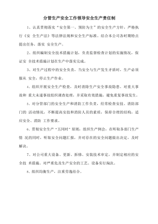 分管生产安全工作领导安全生产责任制.doc