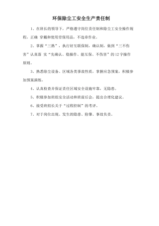 环保除尘工安全生产责任制.doc