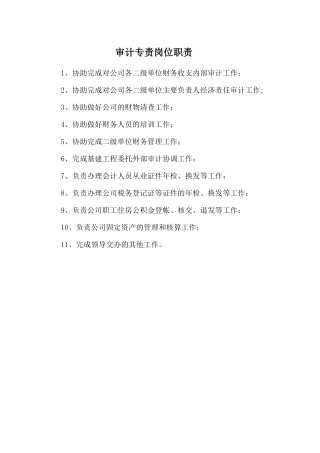 审计专责岗位职责.doc