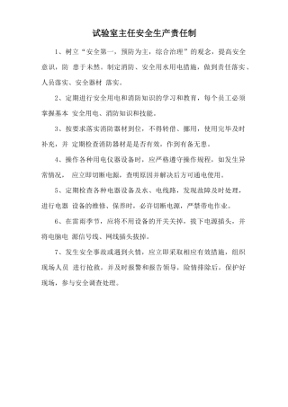 试验室主任安全生产责任制.doc