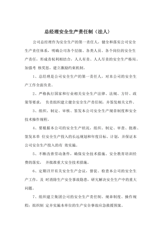 总经理安全生产责任制（法人）.doc