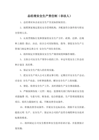 总经理安全生产责任制（非法人）.doc