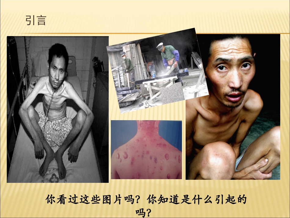 职业卫生专项培训教案（不用打印，电子版保存备查）.ppt_第2页