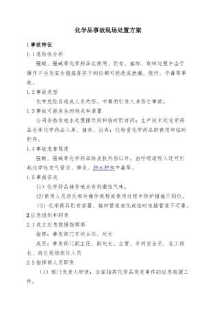 6.化学品事故现场处置方案.doc