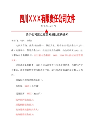 3.关于公司建立应急救援队伍的通知.doc