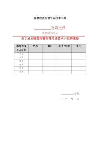 隐患排查治理专业技术小组(B).docx