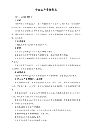 05-【安全制度】-10-安全生产责任制度.doc