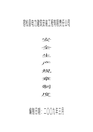 02-某电力公司安全生产规章制度.doc