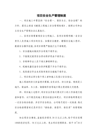 项目安全生产管理制度.docx