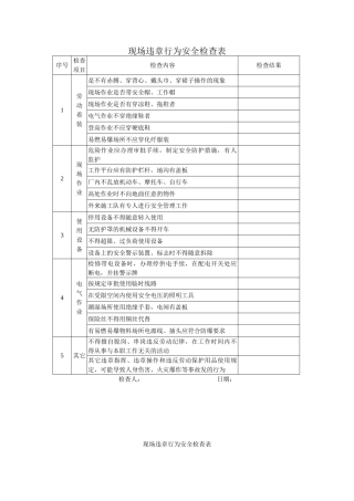 现场违章安全检查.doc