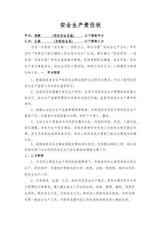 安全总监与安全员责任书.docx