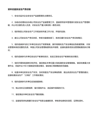 05-2020年度安全生产责任制(安全总监).doc