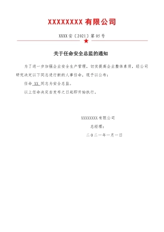 08-安全总监任命书.docx