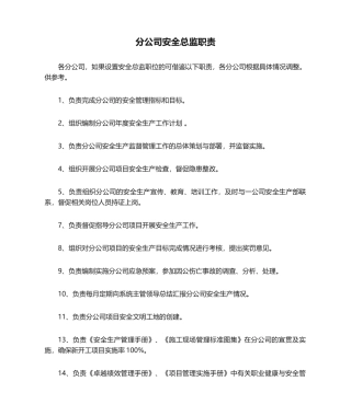 11-分公司安全总监职责.doc