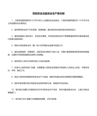 12-项目安全总监安全生产责任制.doc
