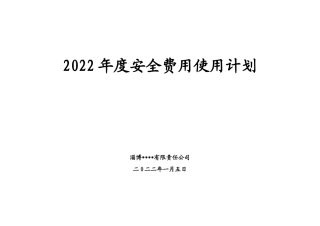 01-202X年安全投入计划.doc