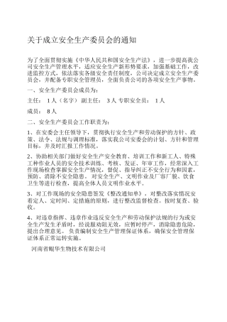 07.关于成立安全生产委员会的文件.docx