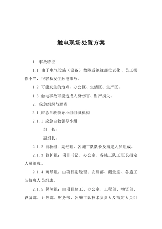 触电现场处置方案.docx