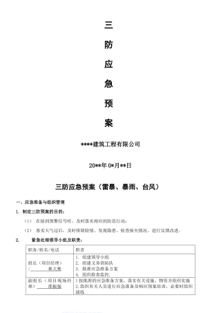 20.三防应急预案模板2.docx