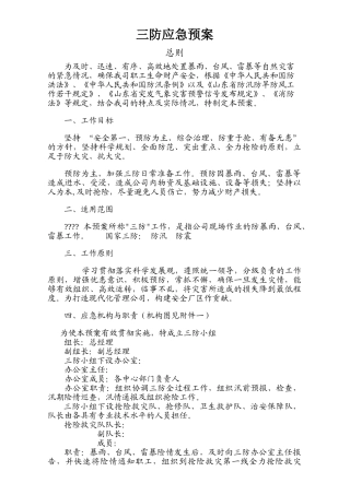 21.三防应急预案模板3.doc