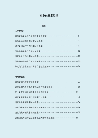 01.各类现场应急处置方案汇编（227页）.doc