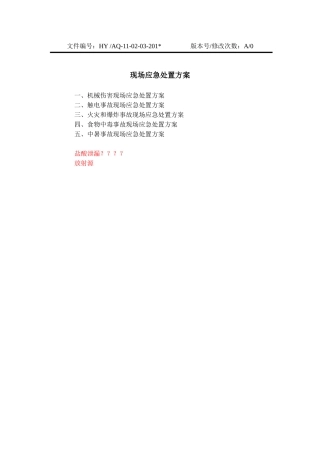 13-04-03-现场应急处置方案.doc