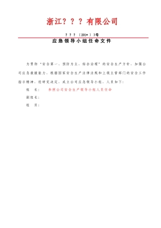 13-05-应急领导小组任命文件.doc