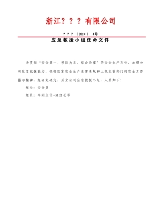 13-06-应急救援小组任命文件.doc