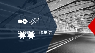 37.总结和计划--21页.pptx