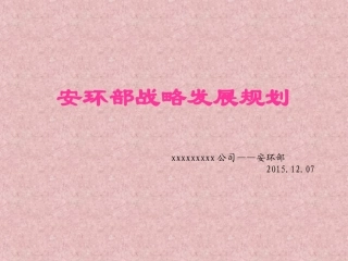 89.安环部战略发展规划汇报（30页）.ppt