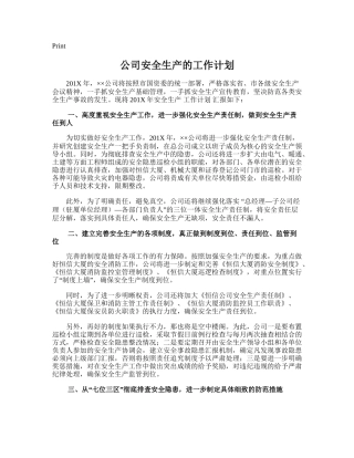 13.公司安全生产的工作计划.doc