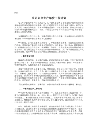 19.公司安全生产年度工作计划.doc