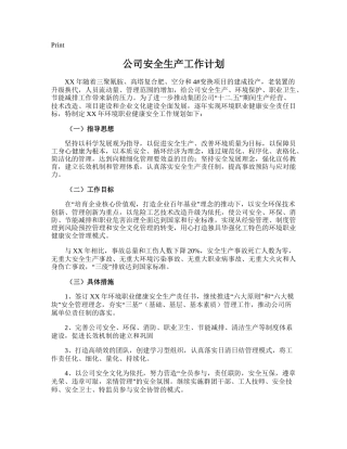 112.公司安全生产工作计划.doc