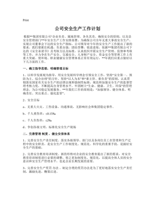 113.公司安全生产工作计划.doc