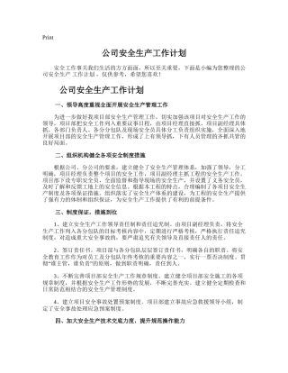 117.公司安全生产工作计划.doc