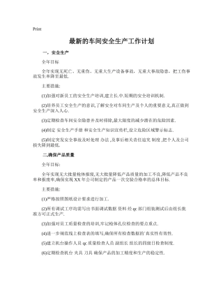 119.最新的车间安全生产工作计划.doc