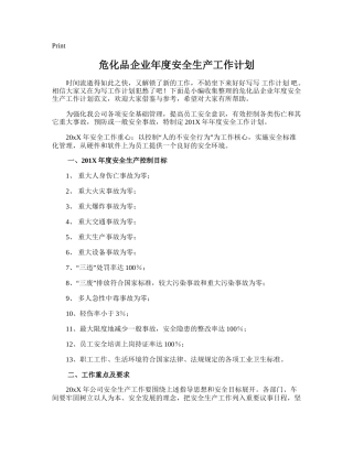 204.危化品企业年度安全生产工作计划.doc