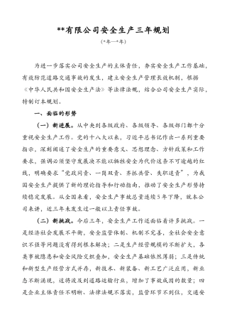 229.公司安全生产中长期规划(三年规划).docx