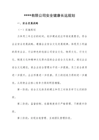 231. 集团公司安全生产长远规划.doc