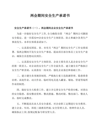 246. 两会期间公司安全生产承诺书.docx