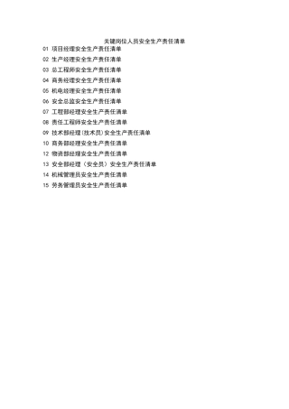 97 关键岗位人员安全生产责任清单.doc