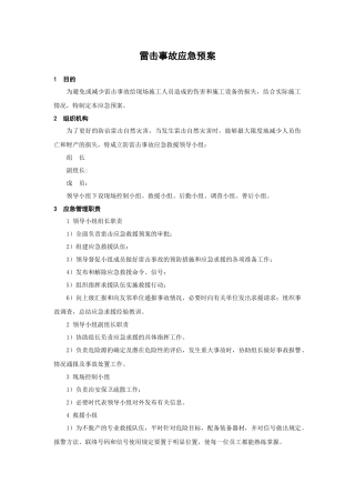 雷击事故应急预案.doc