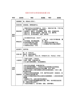 17 有限空间作业事故现场处置方案.docx