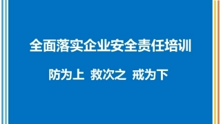 2024年全面落实企业安全生产主体责任专题培训(101页).pptx