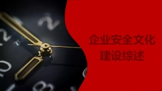 企业安全文化建设（62页）-T.ppt