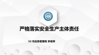 严格落实安全生产主体责任专题培训（110页）.pptx