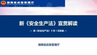 4.新《安全生产法》宣贯解读.pptx