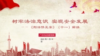 46.刑法修正案.pptx