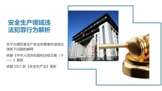 73.安全生产领域违法犯罪解析.ppt